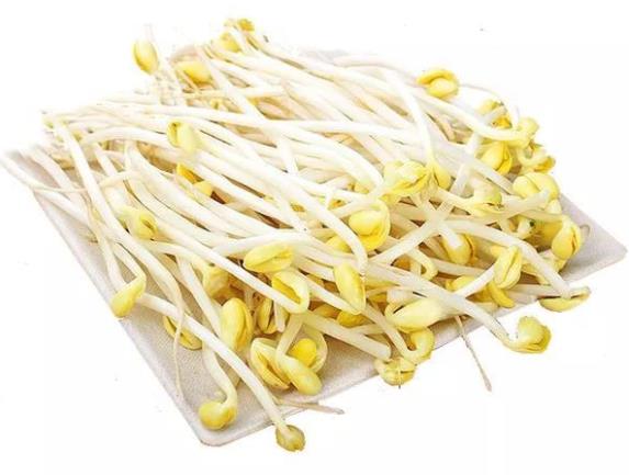 豆芽怎么泡發 發豆芽要注意什么